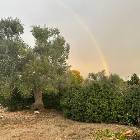 Trulli Oiseaux Migrateurs Nocleg ze śniadaniem