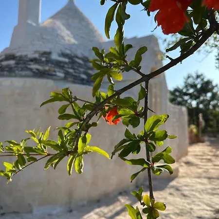 Nocleg ze śniadaniem Trulli Oiseaux Migrateurs 3*