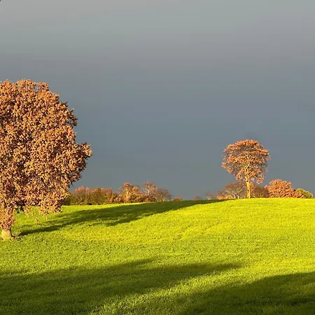 Trulli Oiseaux Migrateurs Bed & Breakfast Ceglie Messapica