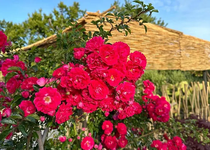 Bed & Breakfast Trulli Oiseaux Migrateurs Ceglie Messapica