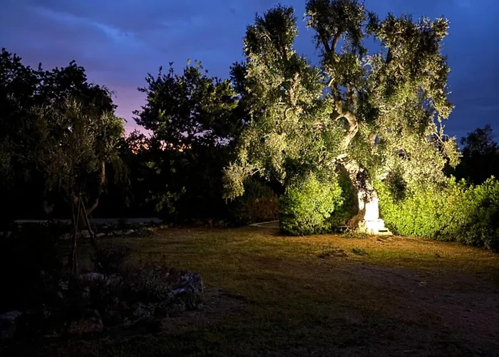 Bed & Breakfast Trulli Oiseaux Migrateurs Ceglie Messapica
