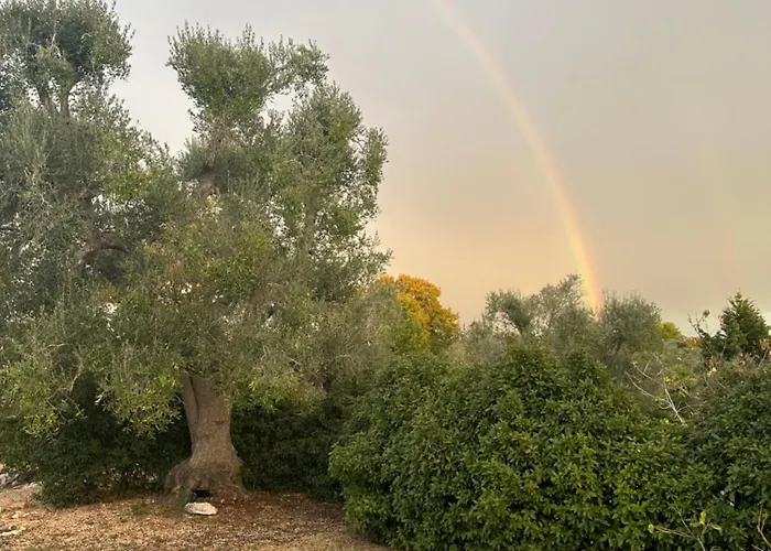 Trulli Oiseaux Migrateurs Bed & Breakfast