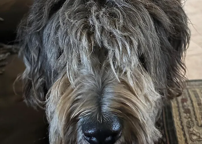 Bed & Breakfast Trulli Oiseaux Migrateurs Ceglie Messapica