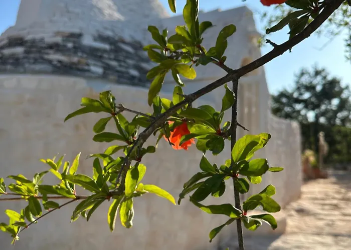 Bed & Breakfast Trulli Oiseaux Migrateurs 4*