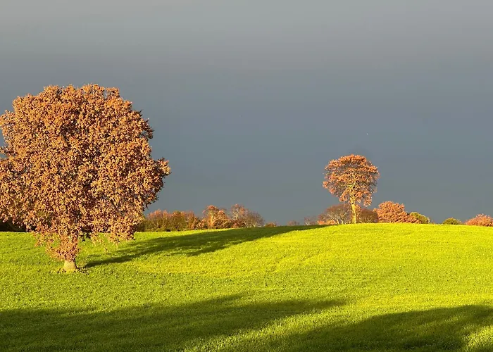 Trulli Oiseaux Migrateurs Bed & Breakfast Ceglie Messapica