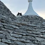 Trulli Oiseaux Migrateurs 4*