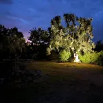 Bed & Breakfast Trulli Oiseaux Migrateurs Ceglie Messapica