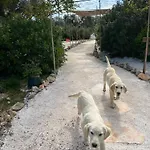 Trulli Oiseaux Migrateurs Bed & Breakfast