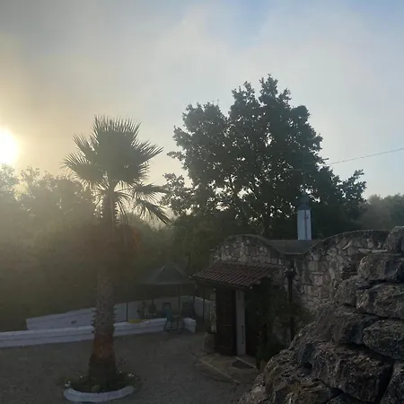 Trulli Oiseaux Migrateurs Bed & Breakfast