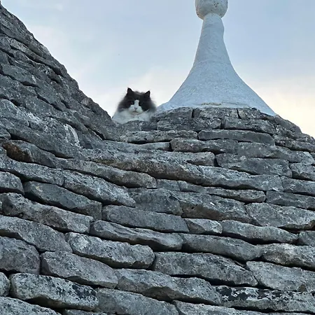 Trulli Oiseaux Migrateurs *