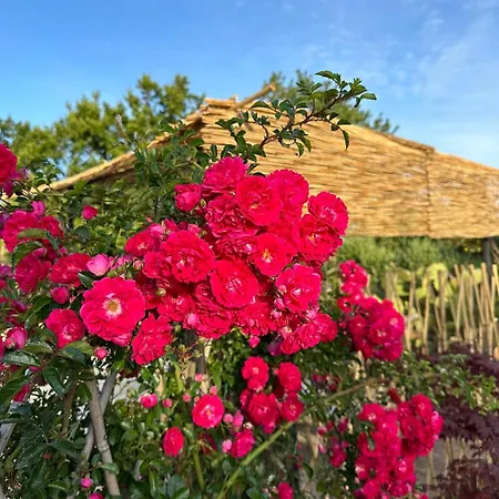 Bed & Breakfast Trulli Oiseaux Migrateurs Ceglie Messapica