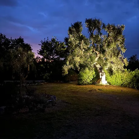 Bed & Breakfast Trulli Oiseaux Migrateurs Ceglie Messapica