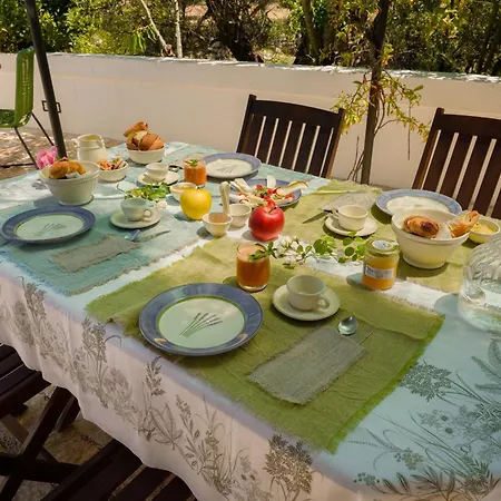 Couette-café Trulli Oiseaux Migrateurs