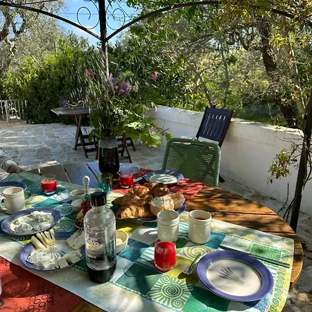 Trulli Oiseaux Migrateurs Ceglie Messapica