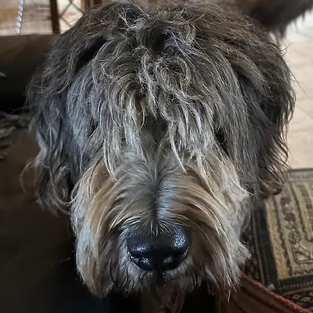 Bed & Breakfast Trulli Oiseaux Migrateurs Ceglie Messapica