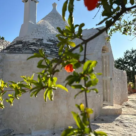 Trulli Oiseaux Migrateurs Челье-Мессапика