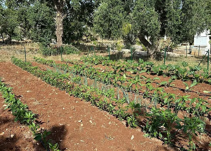 Bed & Breakfast Trulli Oiseaux Migrateurs